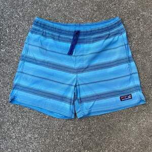 Patagonia Wavefarer Blue Board Shorts Trunks Men's Large nylon blend